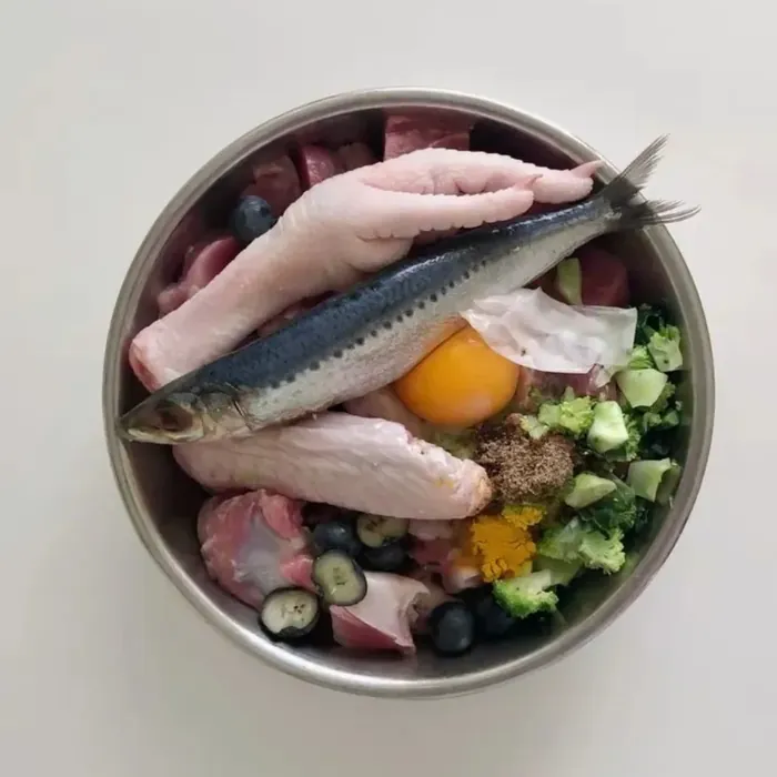 Ingredientes frescos para a dieta natural do gato