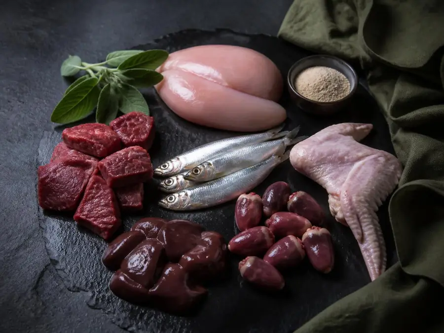 Ingredientes frescos para a dieta natural do gato